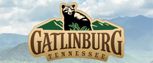Gatlinburg Area Info